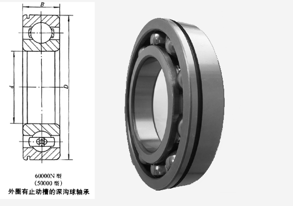 外圈有止动槽的深沟球轴承