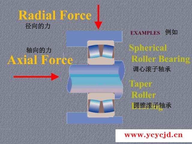 點(diǎn)擊查看.jpg