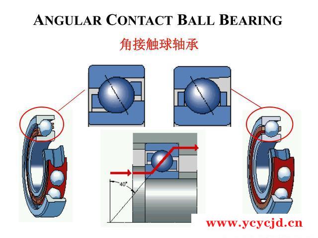 點(diǎn)擊查看.jpg