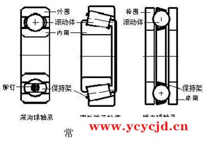 点击查看.jpg