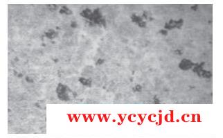 點擊查看.png 點擊查看.png