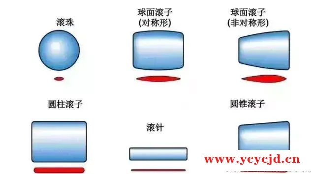 点击查看.webp