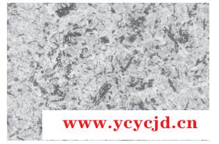 點擊查看.png 點擊查看.png