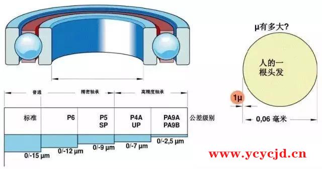 点击查看.jpg